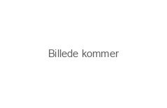 Butik